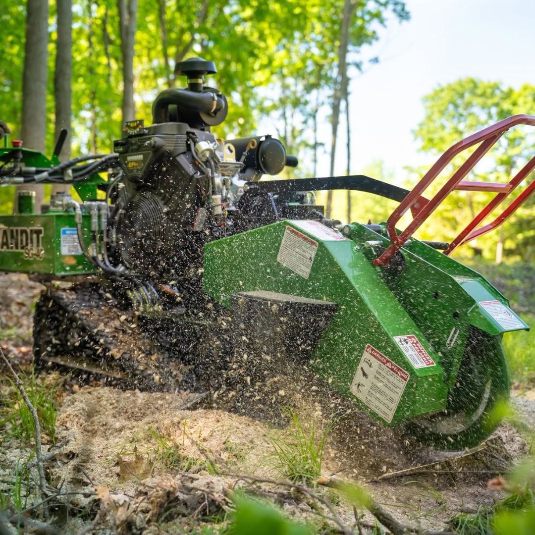 Stump Grinder Teeth Maintenance Checklist: 10 Things Every Tree Surgeon Should Check